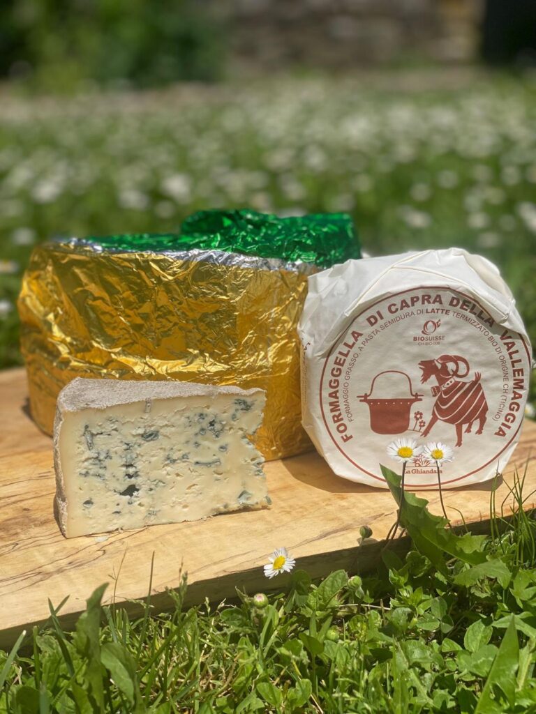 Formaggi della Valle Maggia